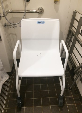 Mobile shower seating